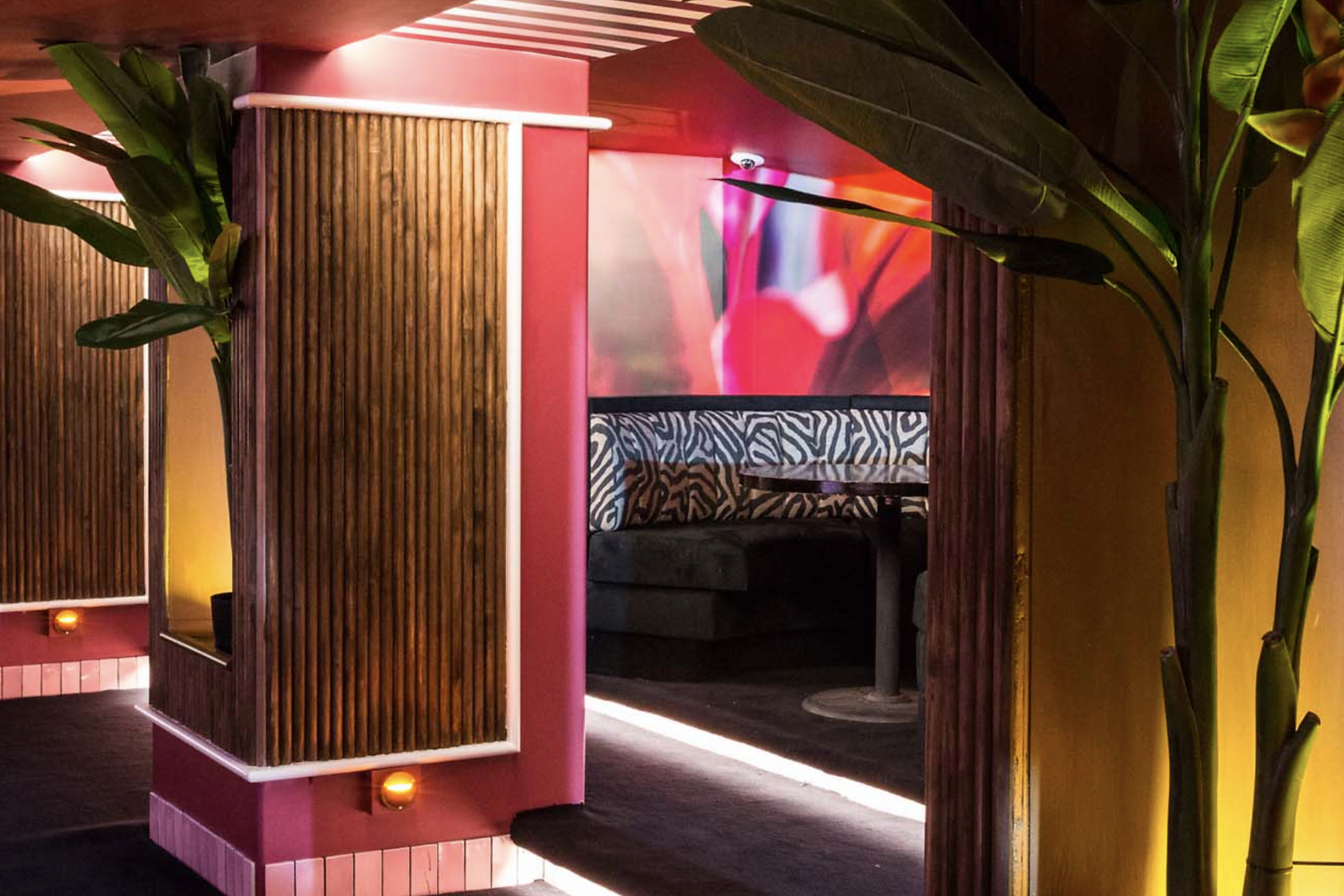 Club + Discotheque 2