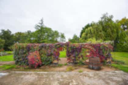 Selgars Estate - Mid Devon - Private Hire Venue in Nature 27