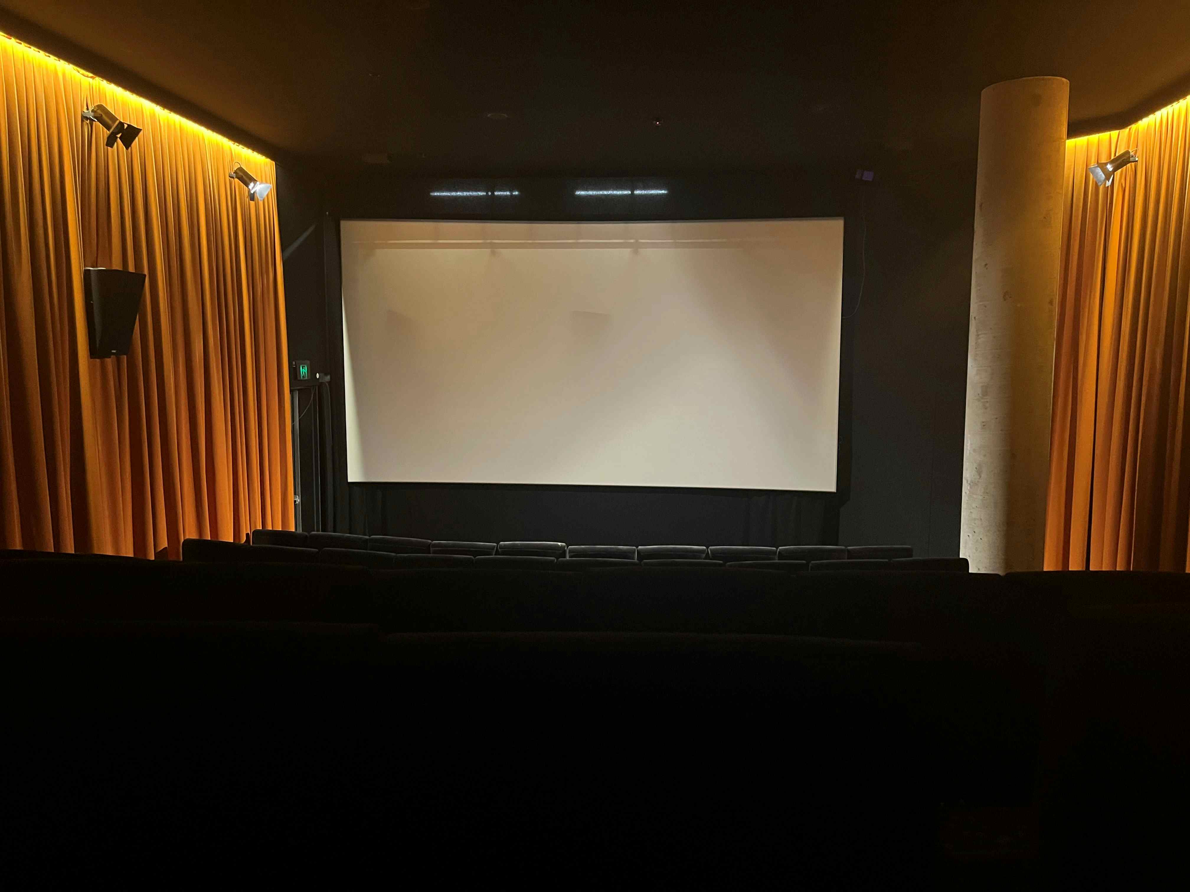 Book Cinema 1 at Palace Electric Cinemas. A Canberra Venue for Hire