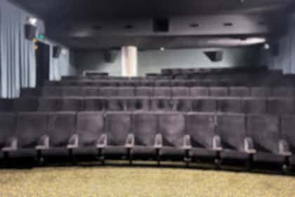 100 Seater Cinema  1
