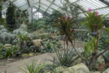 Princess of Wales Conservatory 3