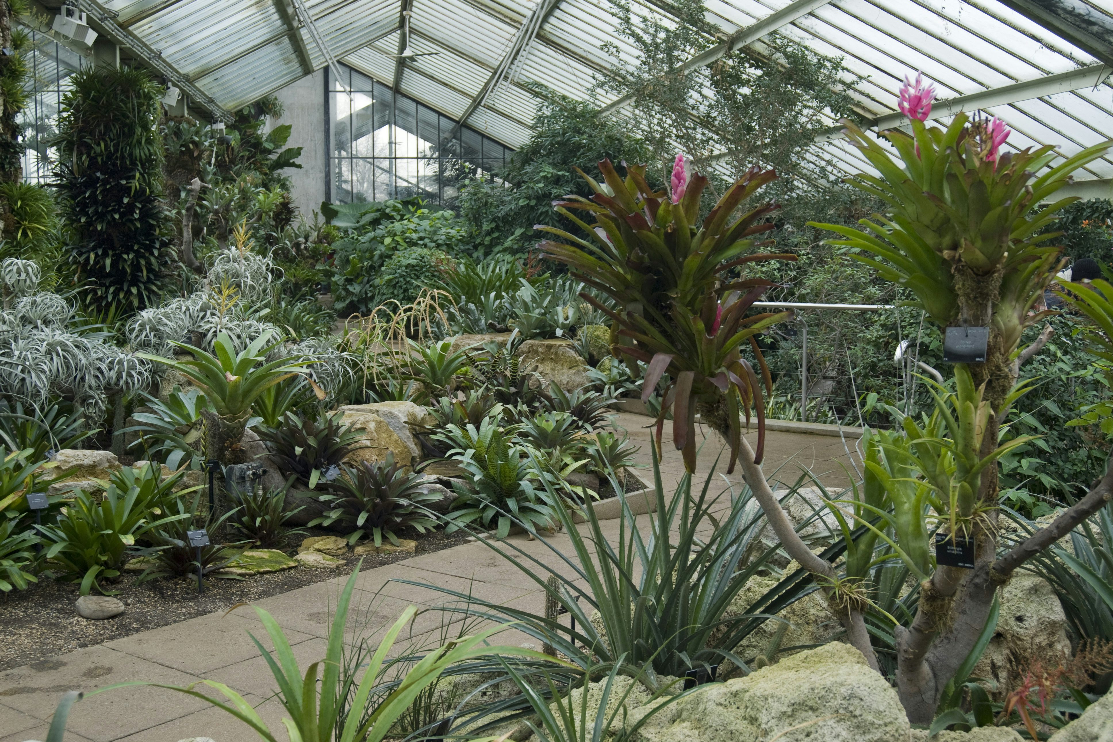 Princess of Wales Conservatory 3