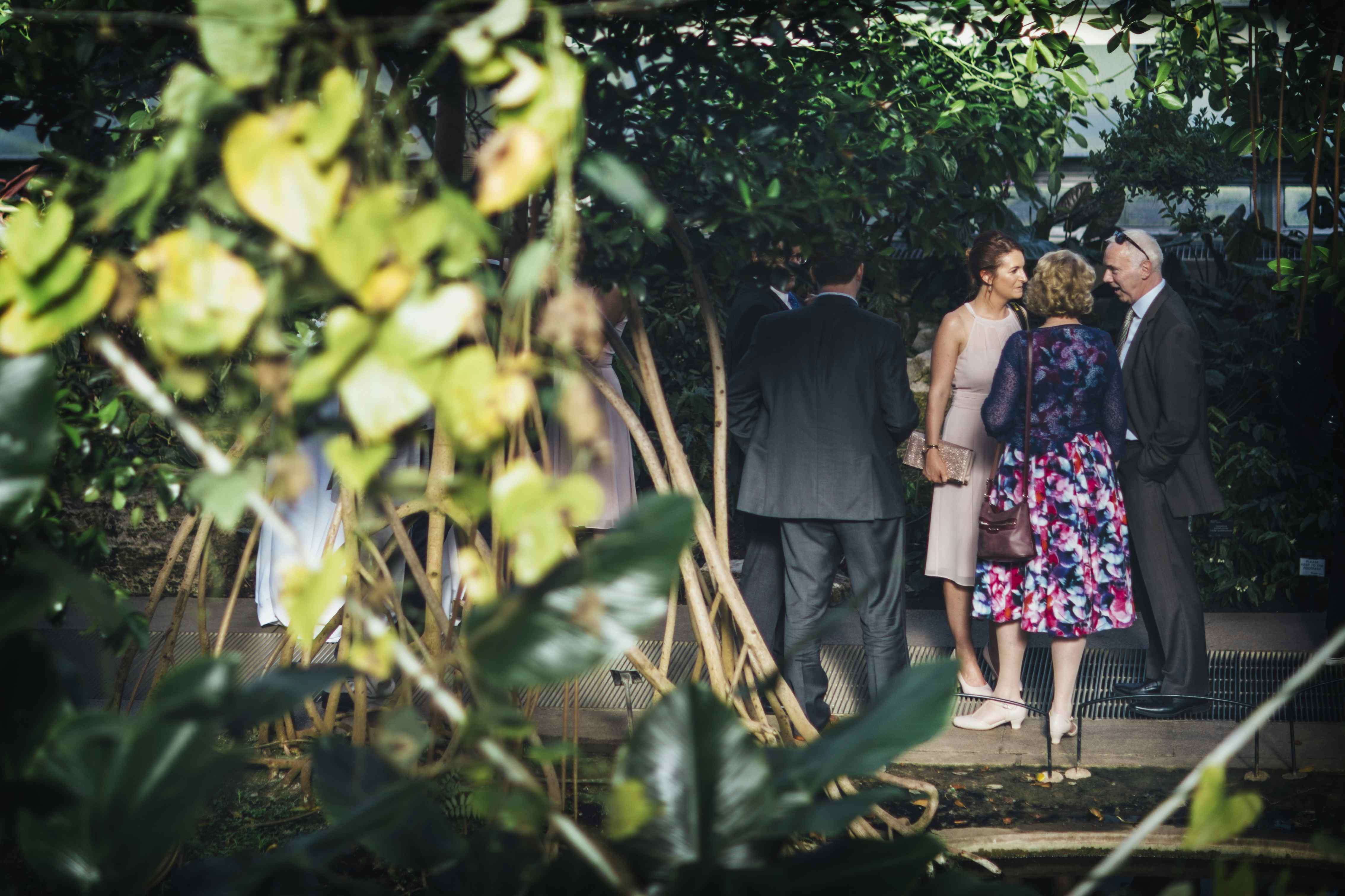 Princess of Wales Conservatory 4