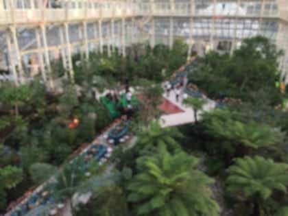 Temperate House 3