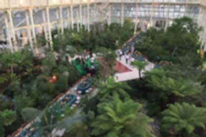 Temperate House 3