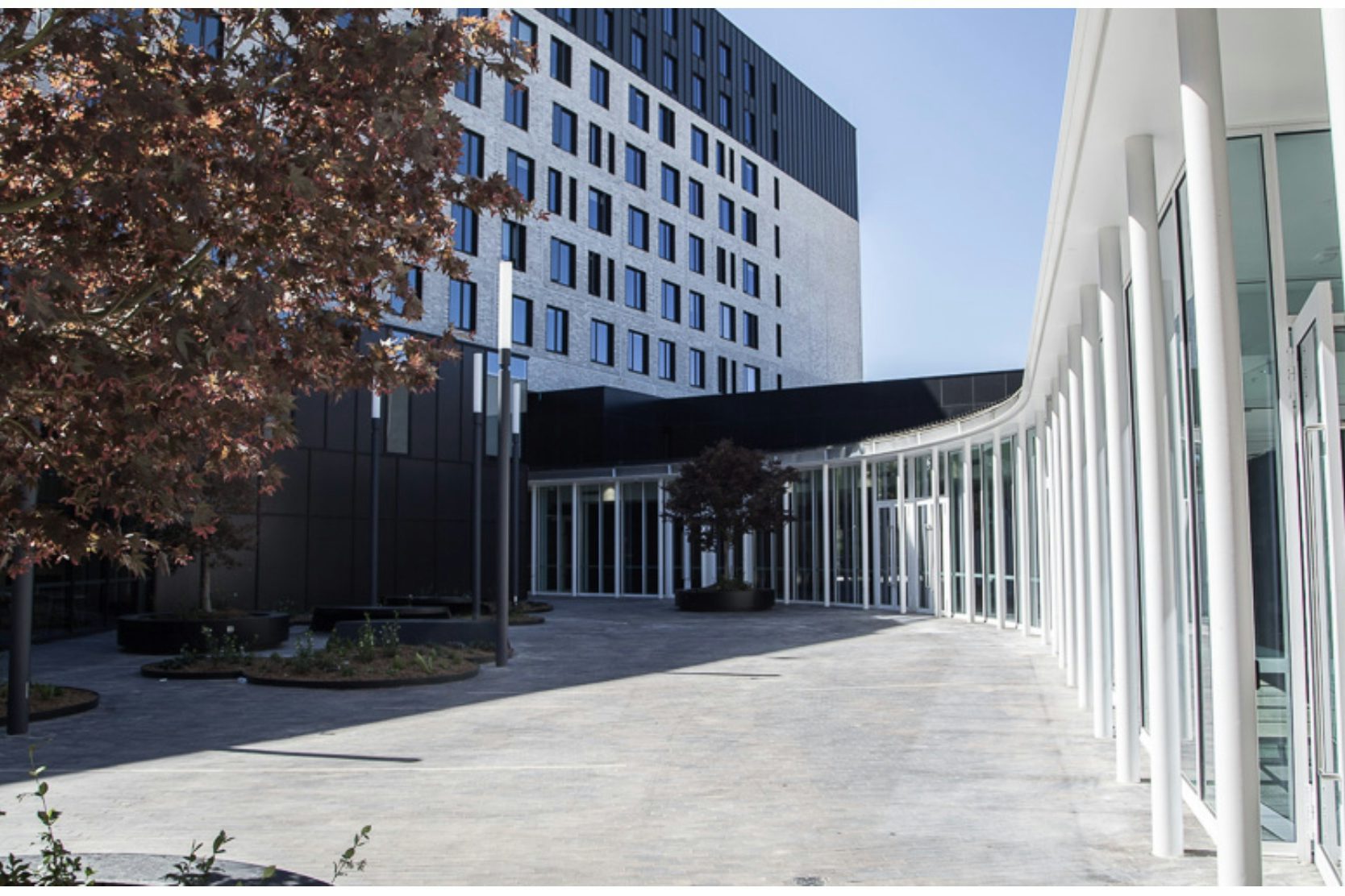 Northern Courtyard 0