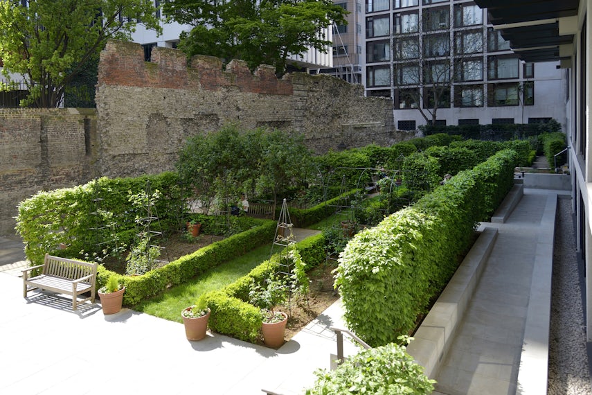 Garden 0