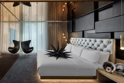 Extreme WOW Suite 1