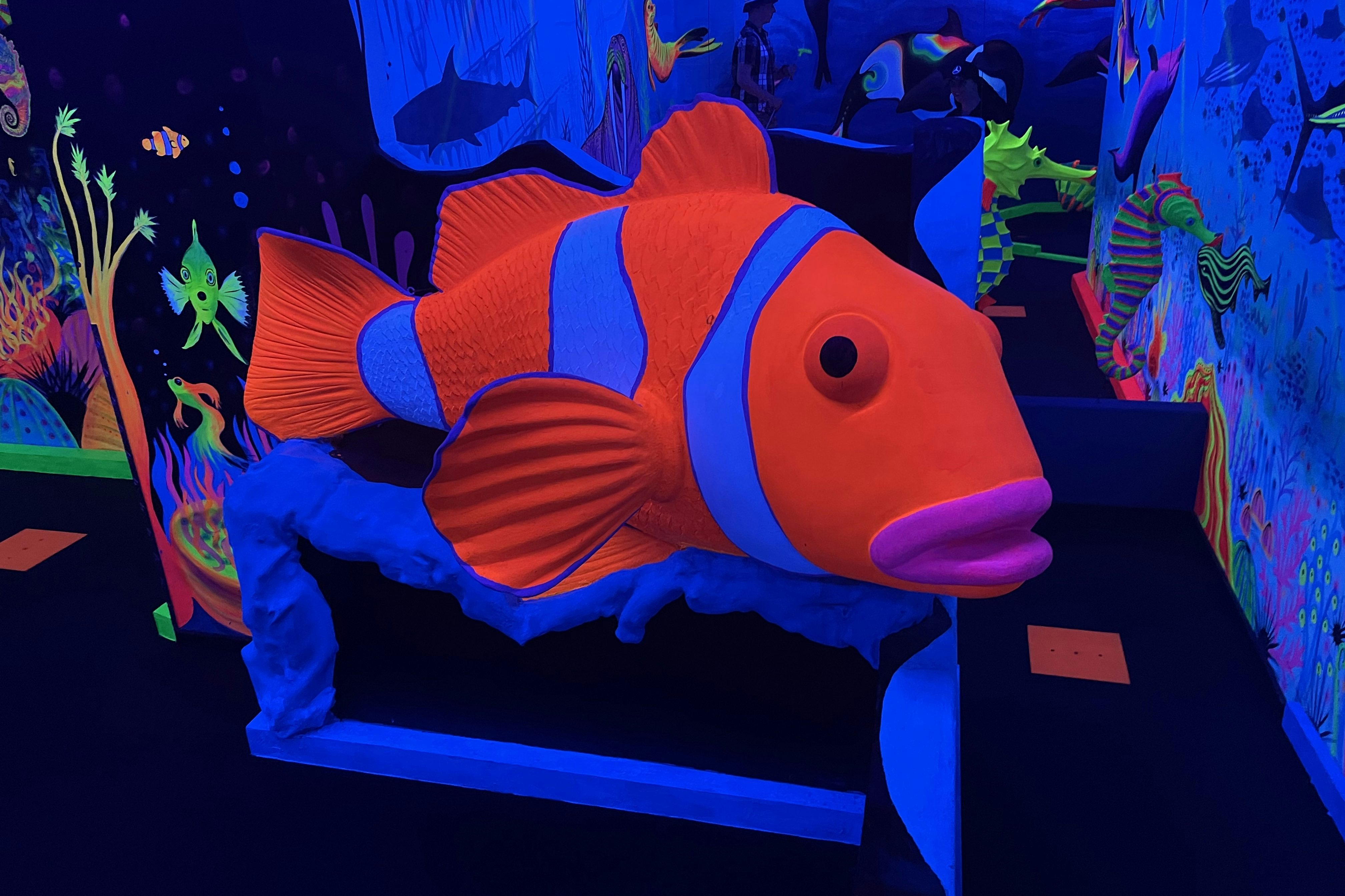 Aquatica Mini Golf 4