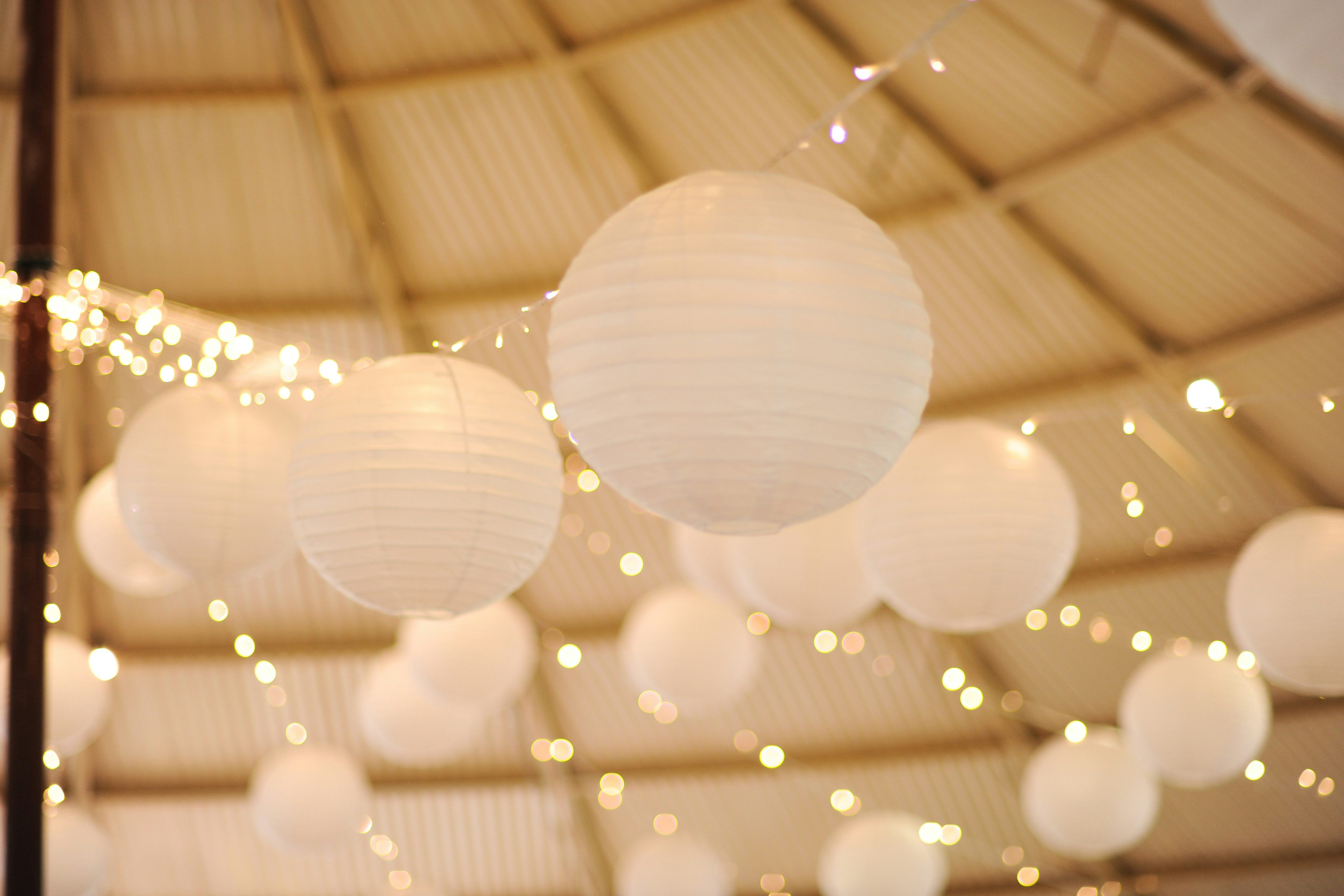 Sir Thomas Elder Rotunda 3