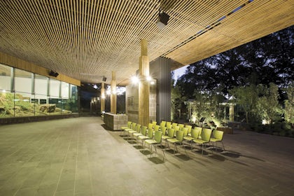 The Bamboo Forest 2