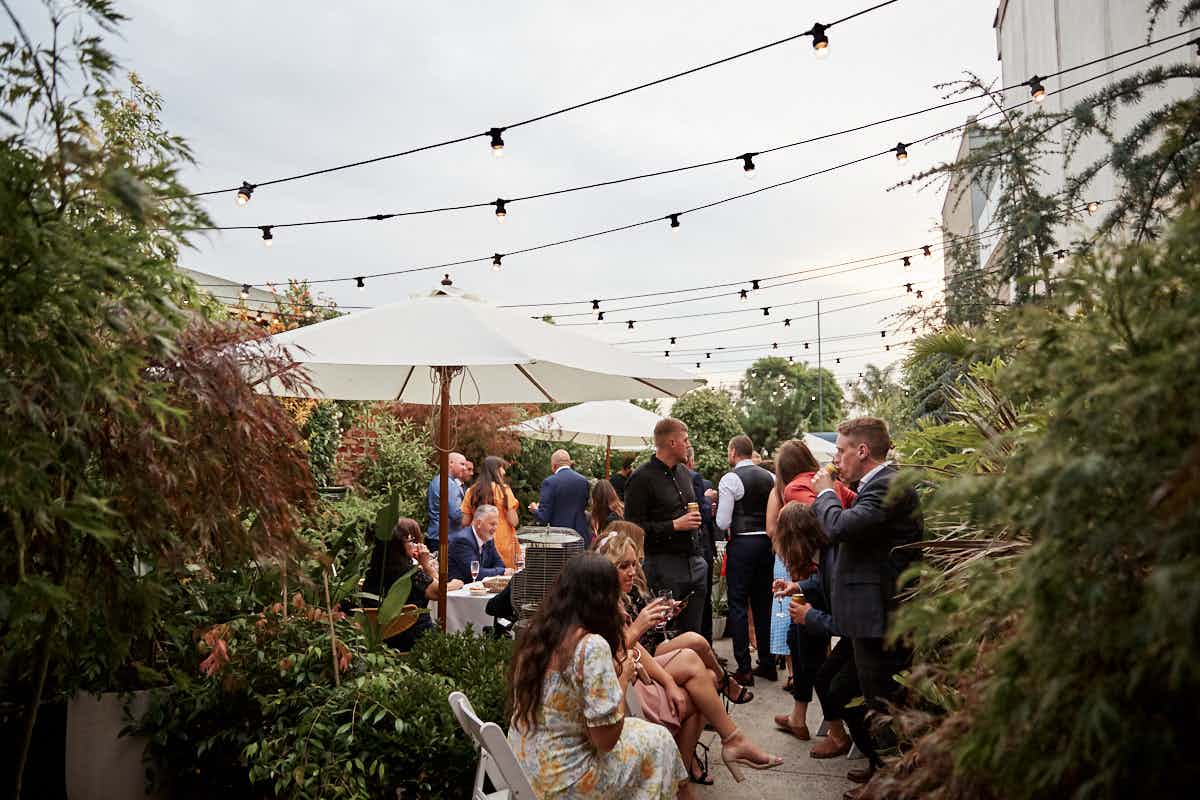 Dramatic greenhouse  2