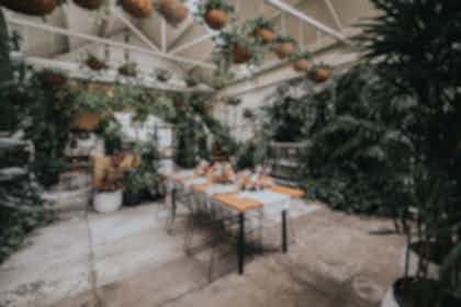 Dramatic greenhouse  1
