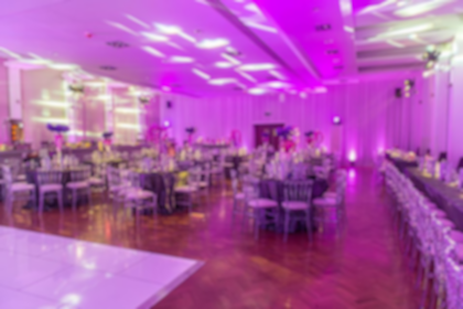 Banqueting suite/ conference space/ party space  0