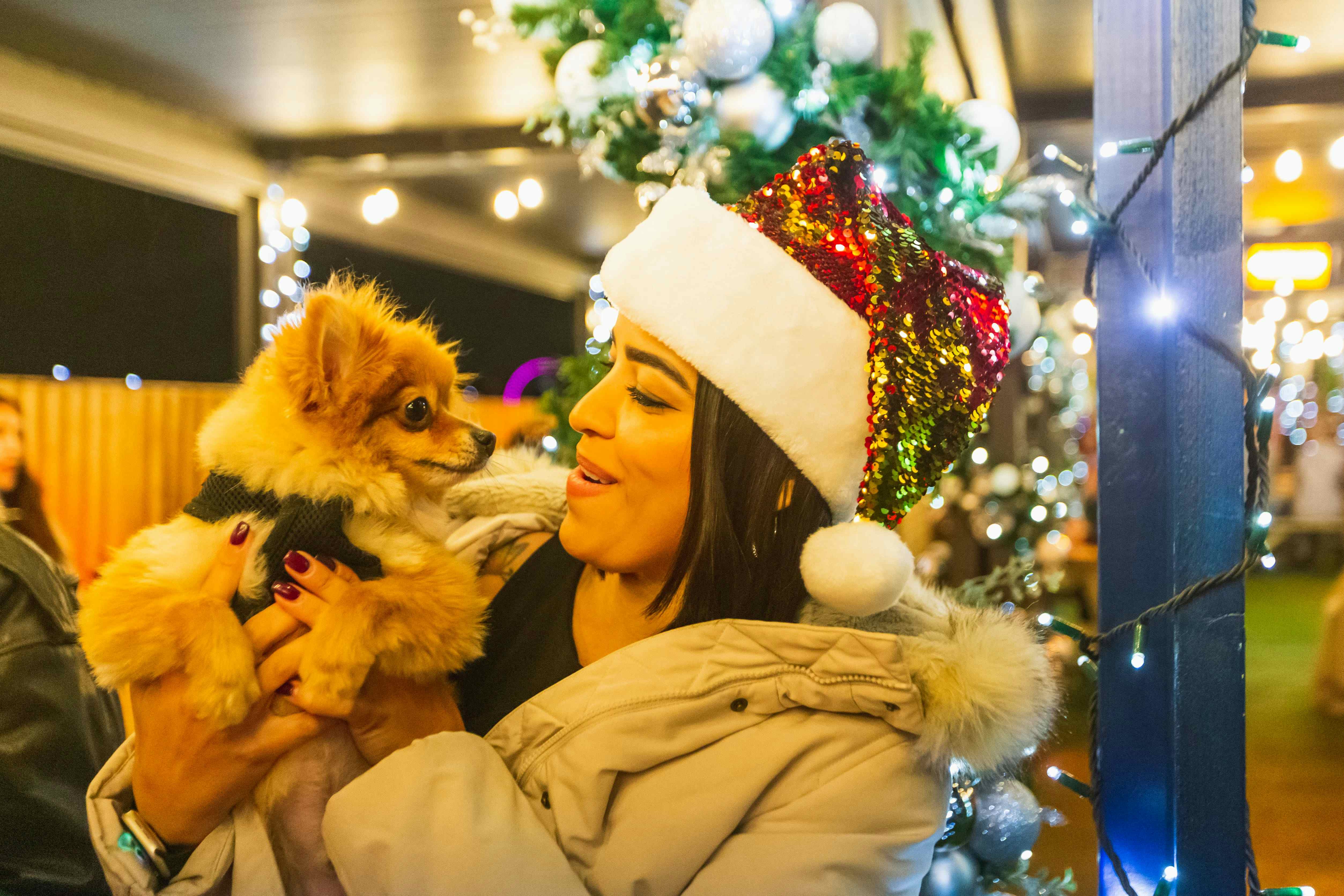LONDON BRIDGE ROOFTOP (PERGOLA SHARD) 4