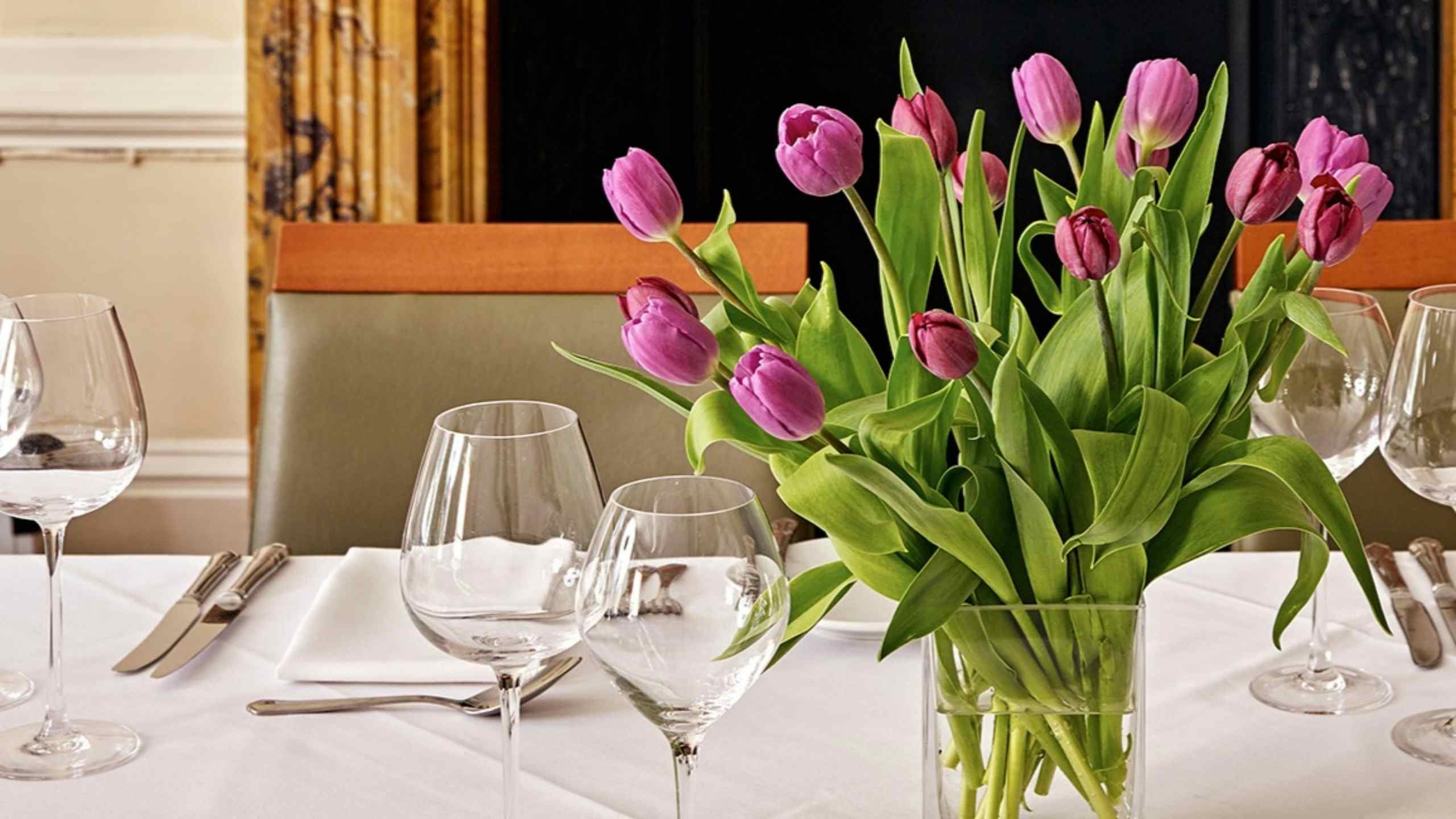 The Dining Room and garden  2