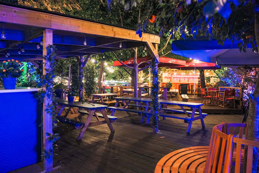 Winter | The Garden 1