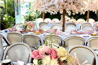 Exclusive Venue Hire 5