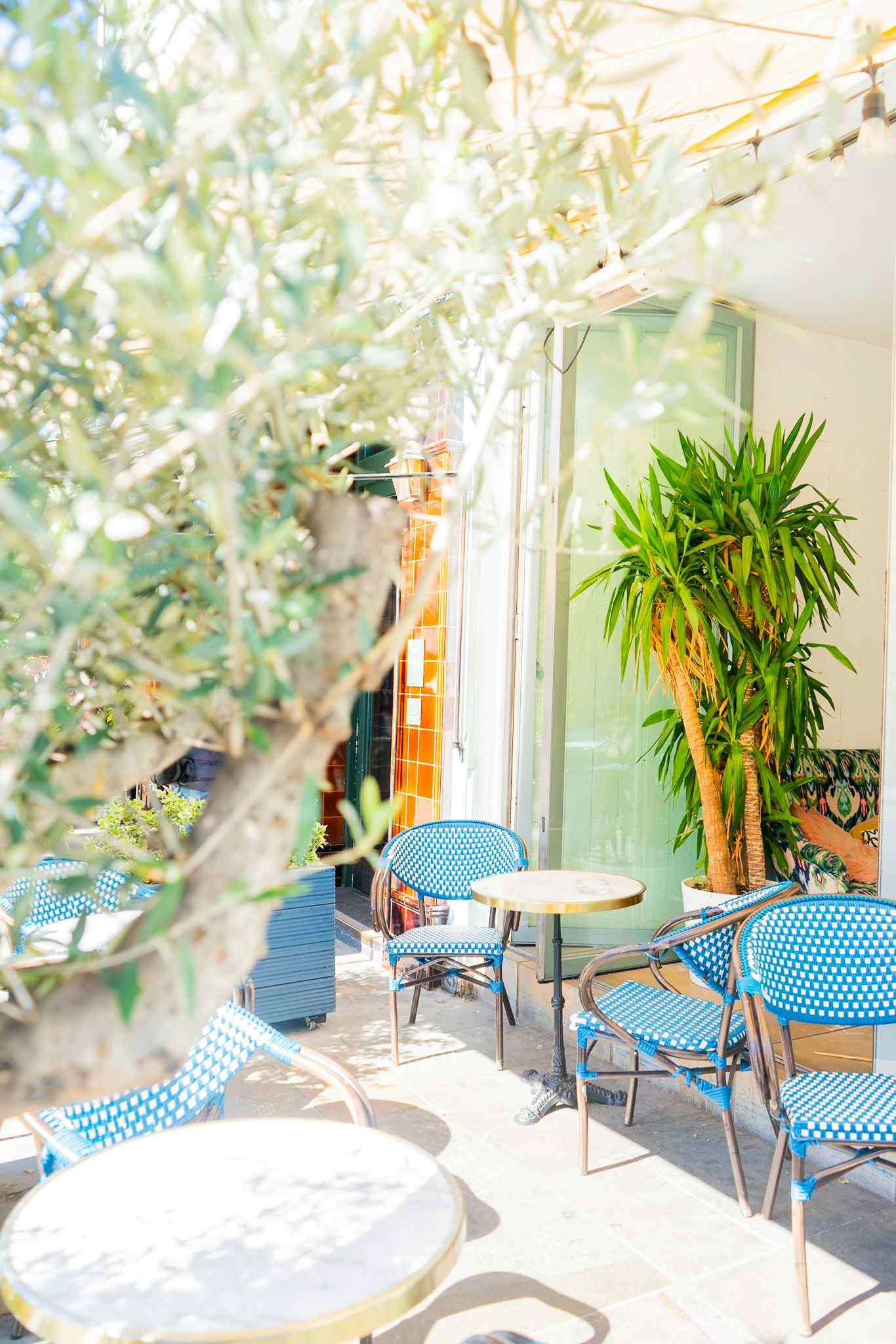 Cosy Living Room & Cocktail Bar  8