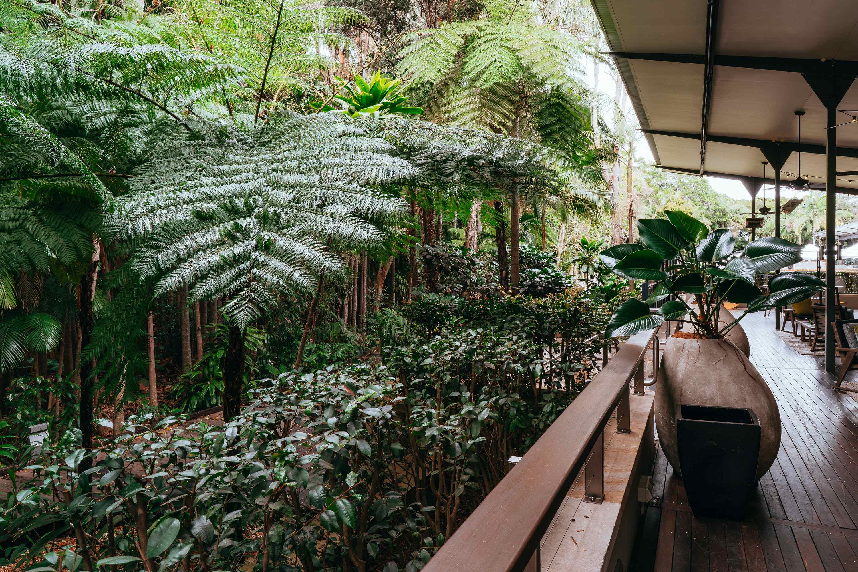 Rainforest Verandah 10