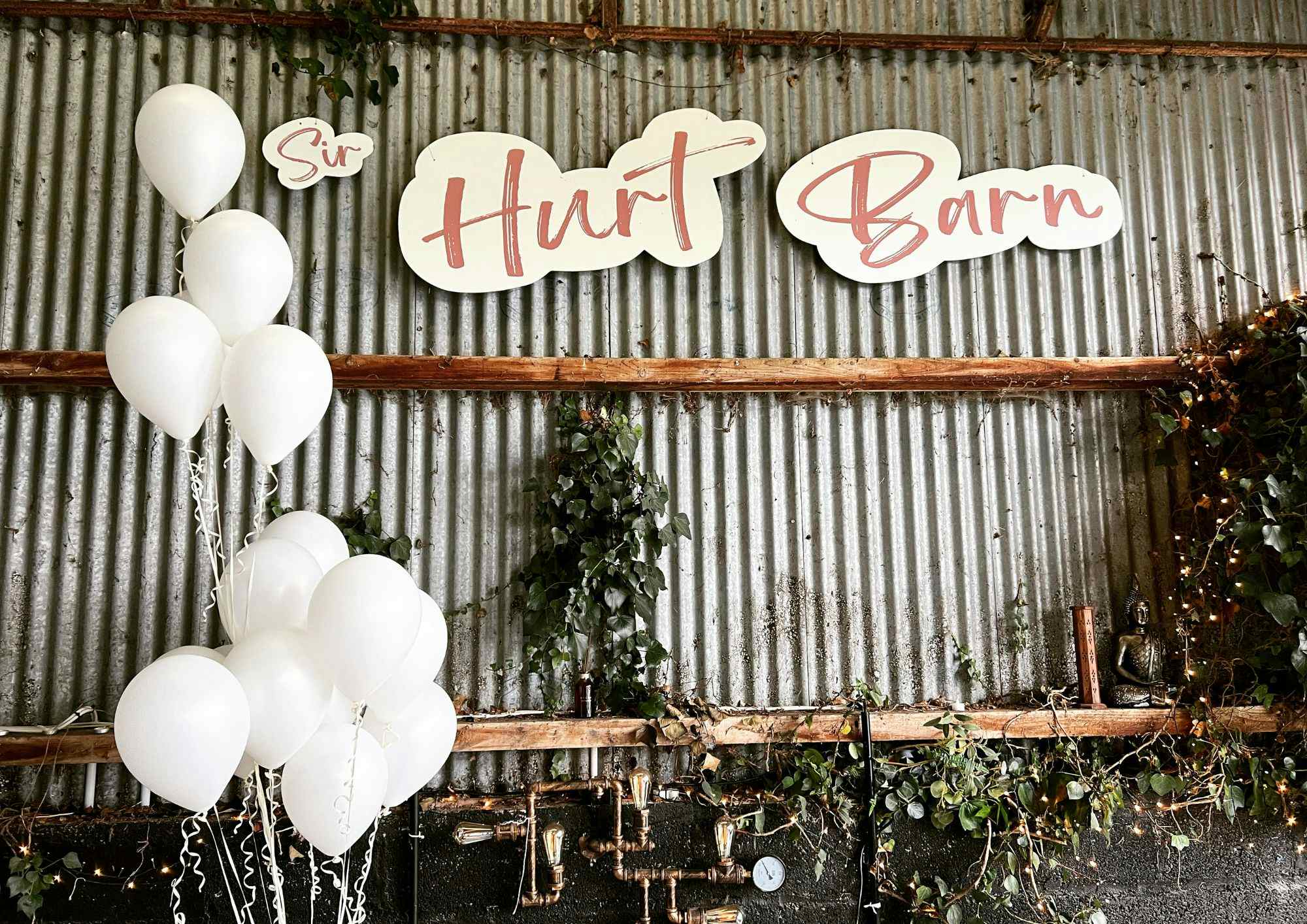 Entire House & Entertainment Barn Rental  4