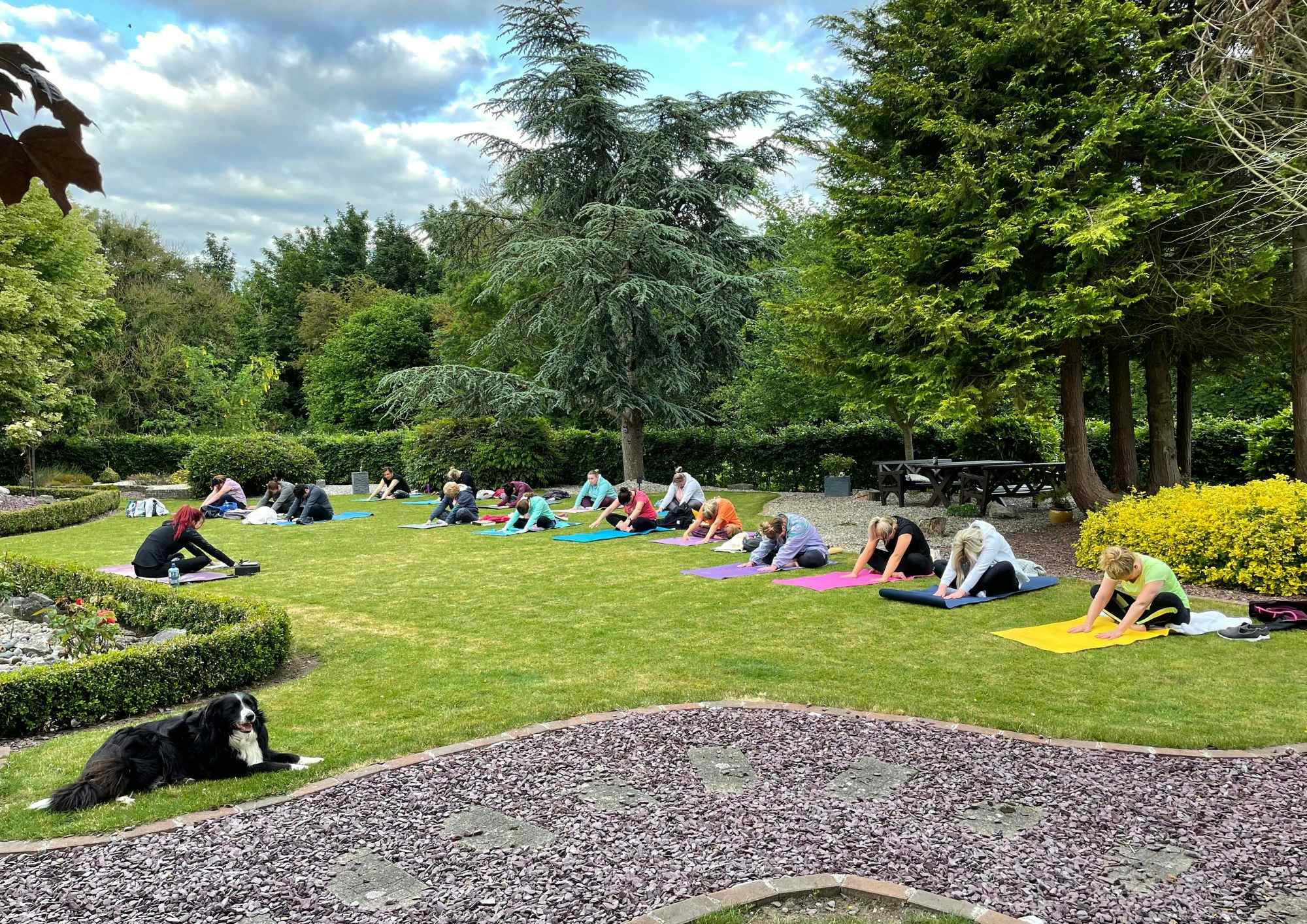 Entire House & Entertainment Barn Rental  6