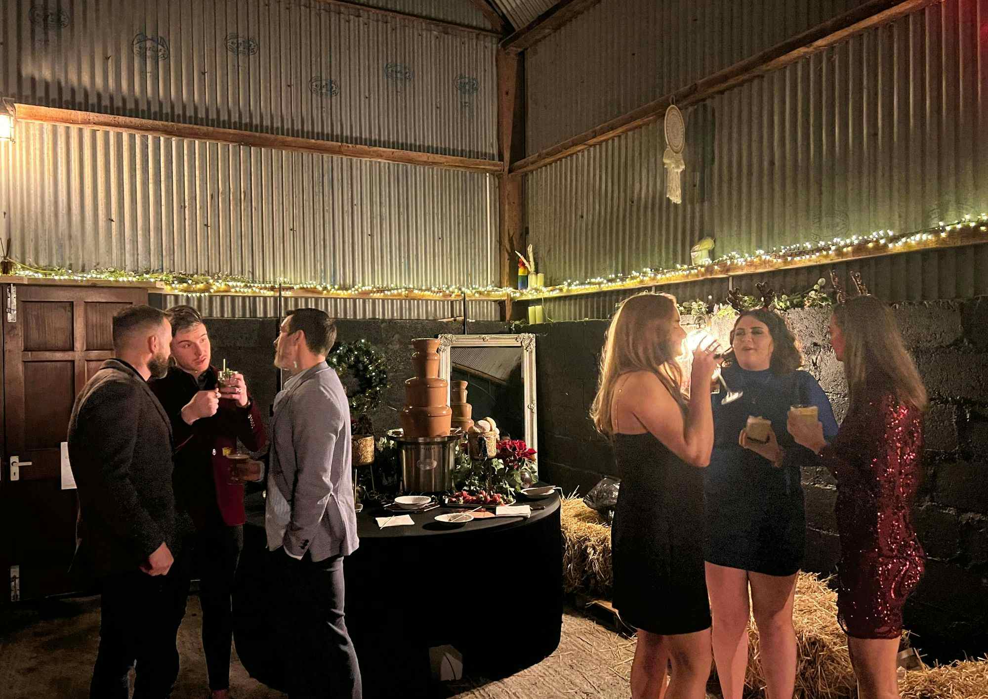 Entire House & Entertainment Barn Rental  1