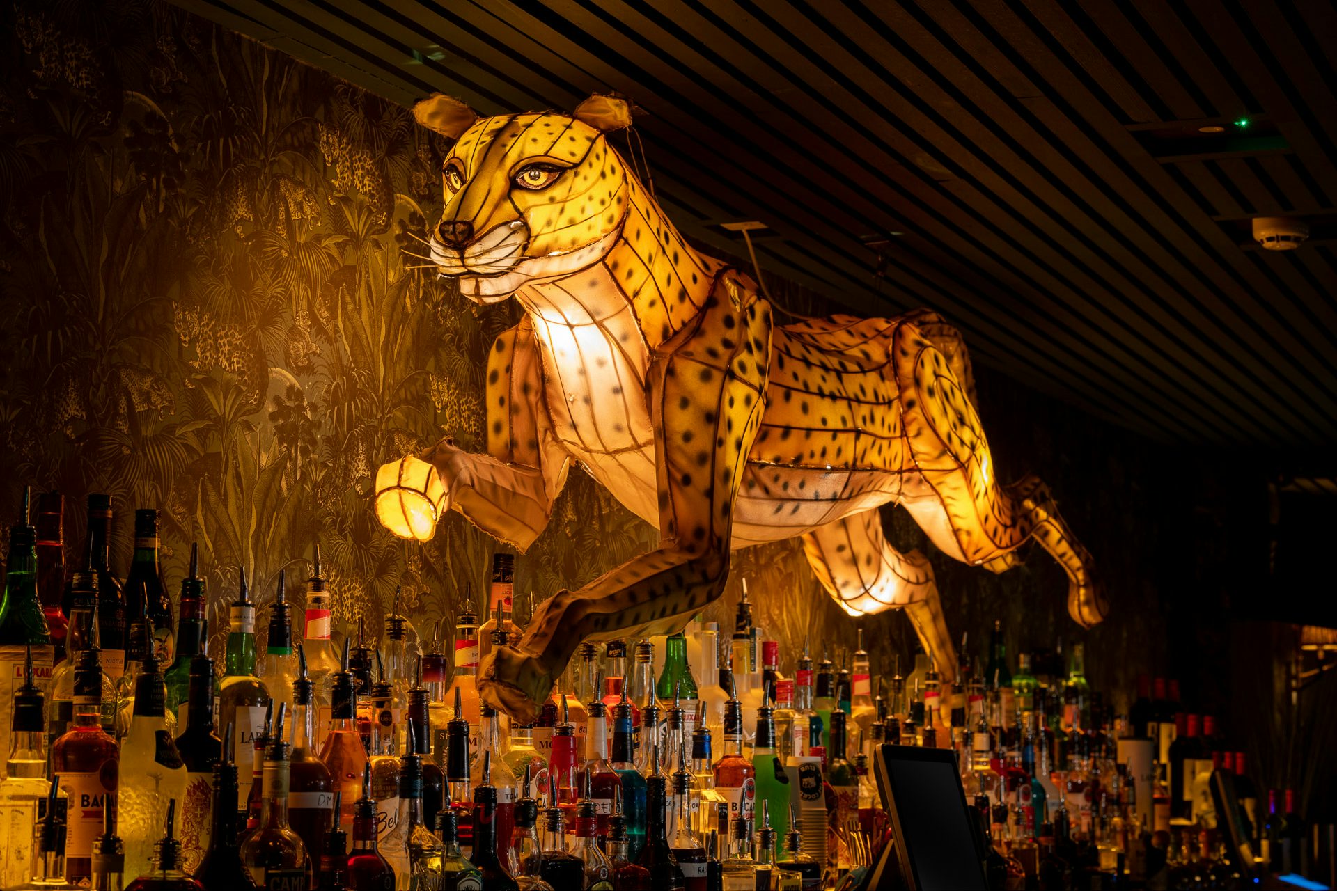 Eden Bar 1