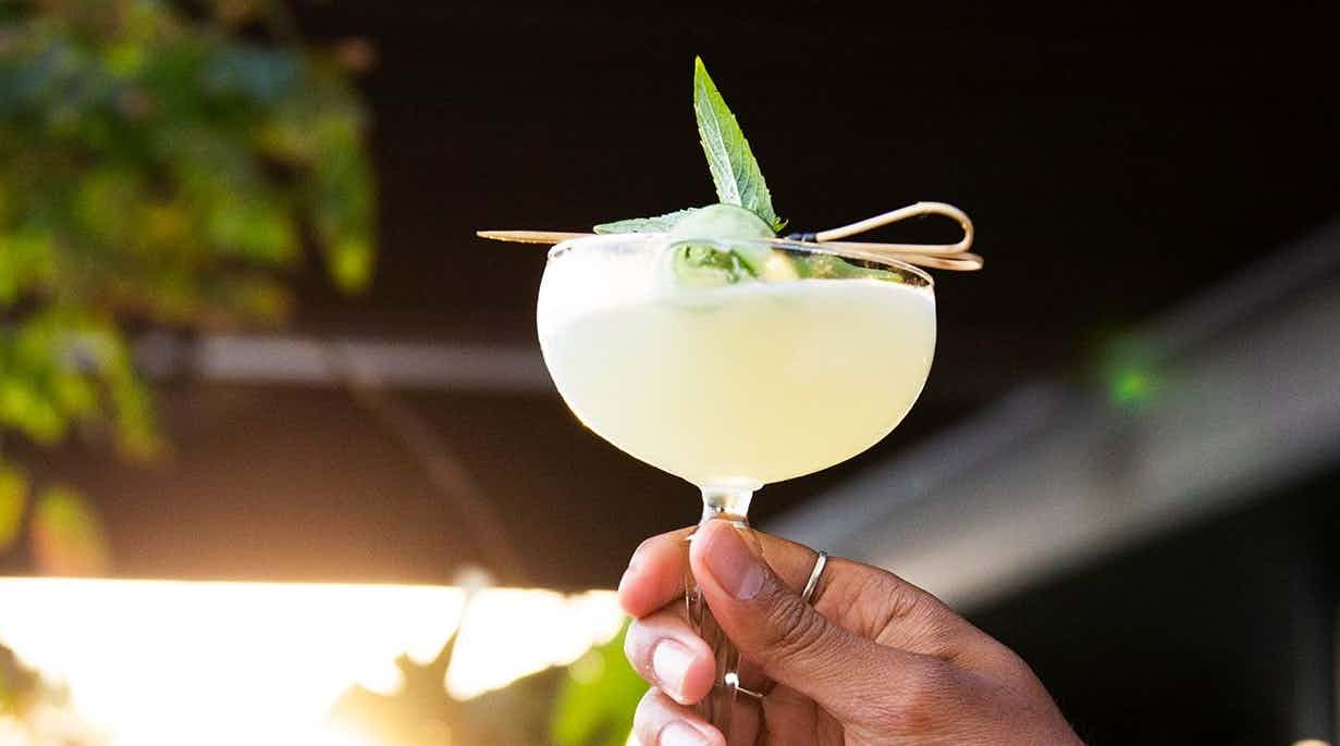 Dandelion Bar & Restaurant 5