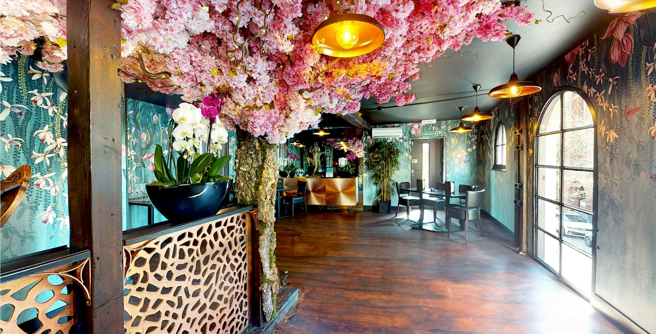 Sticky Mango Waterloo 4