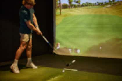 Indoor Virtual Golf 1