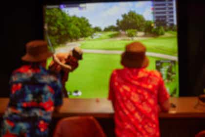 Indoor Virtual Golf 0
