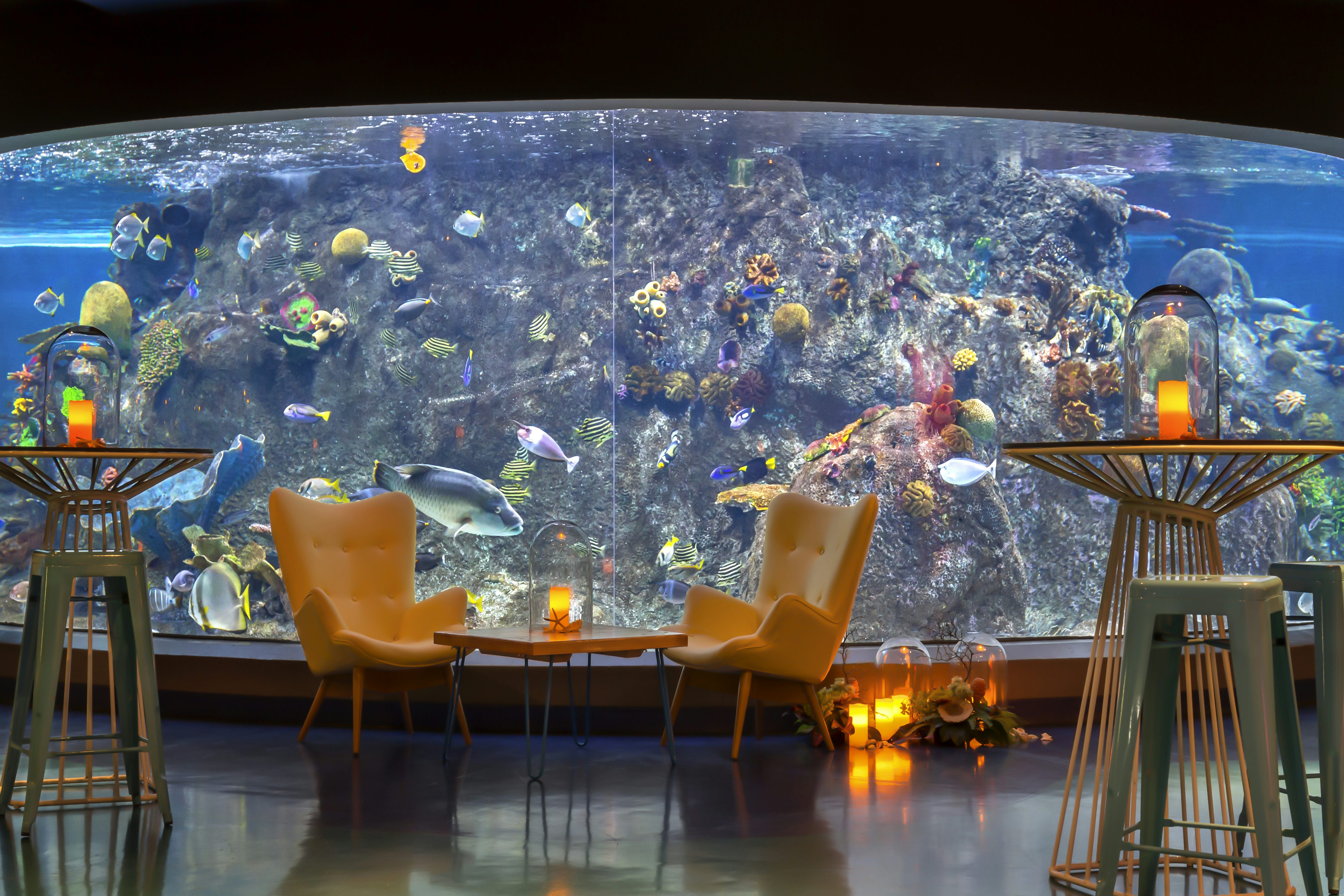 SEA LIFE Melbourne Aquarium 2