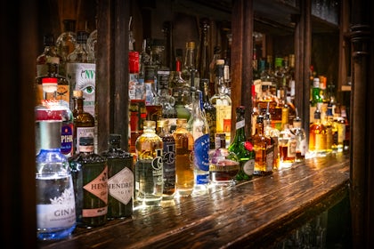 Cocktail or Gin Masterclass 26