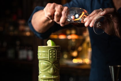 Cocktail or Gin Masterclass 10