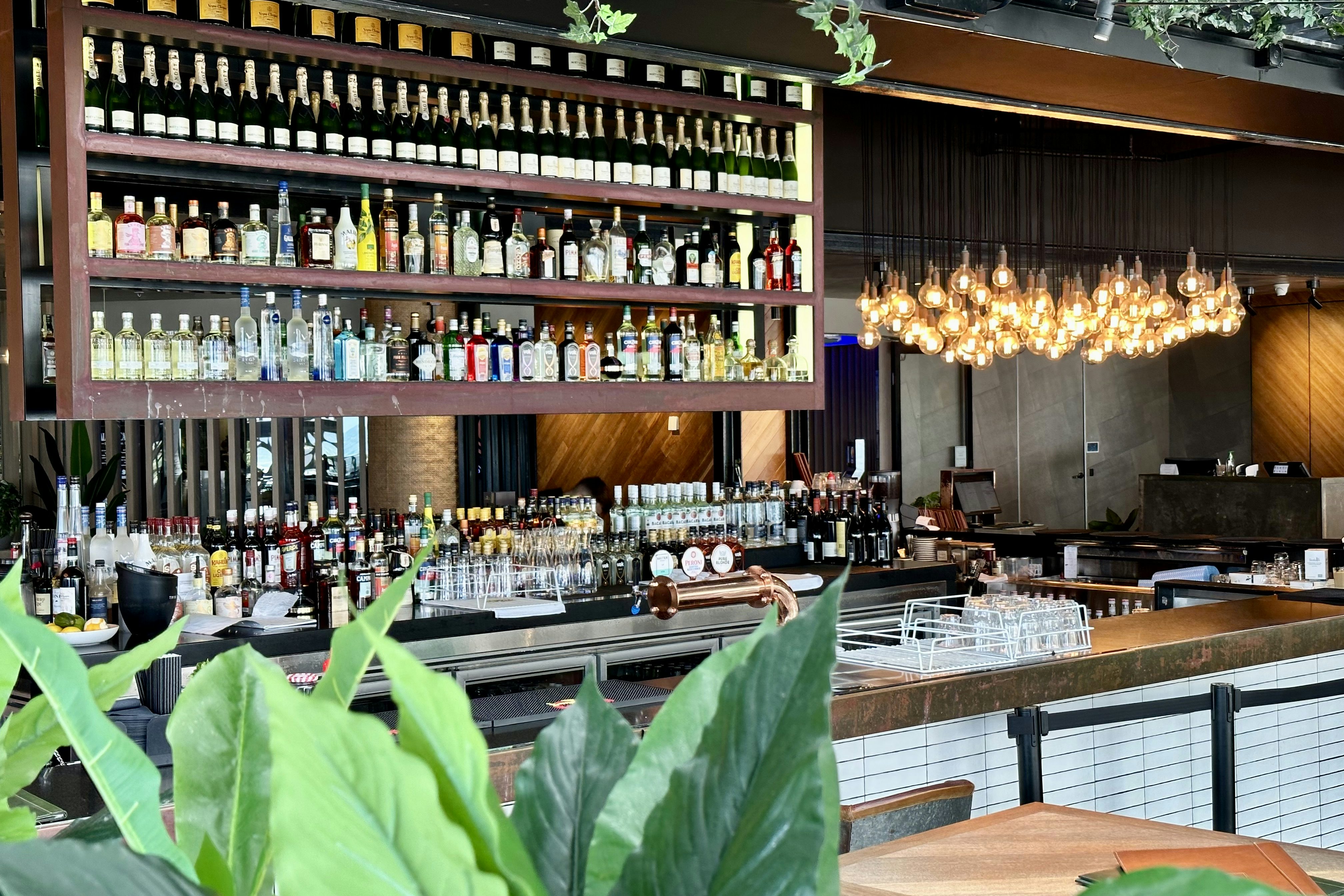 The Beachfront View and Balcony 1