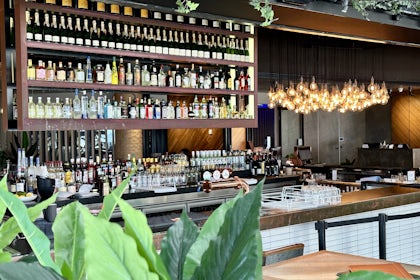 The Beachfront View and Balcony 1