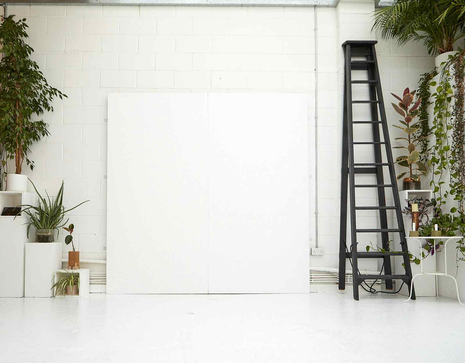 Peanut Factory Studio 7