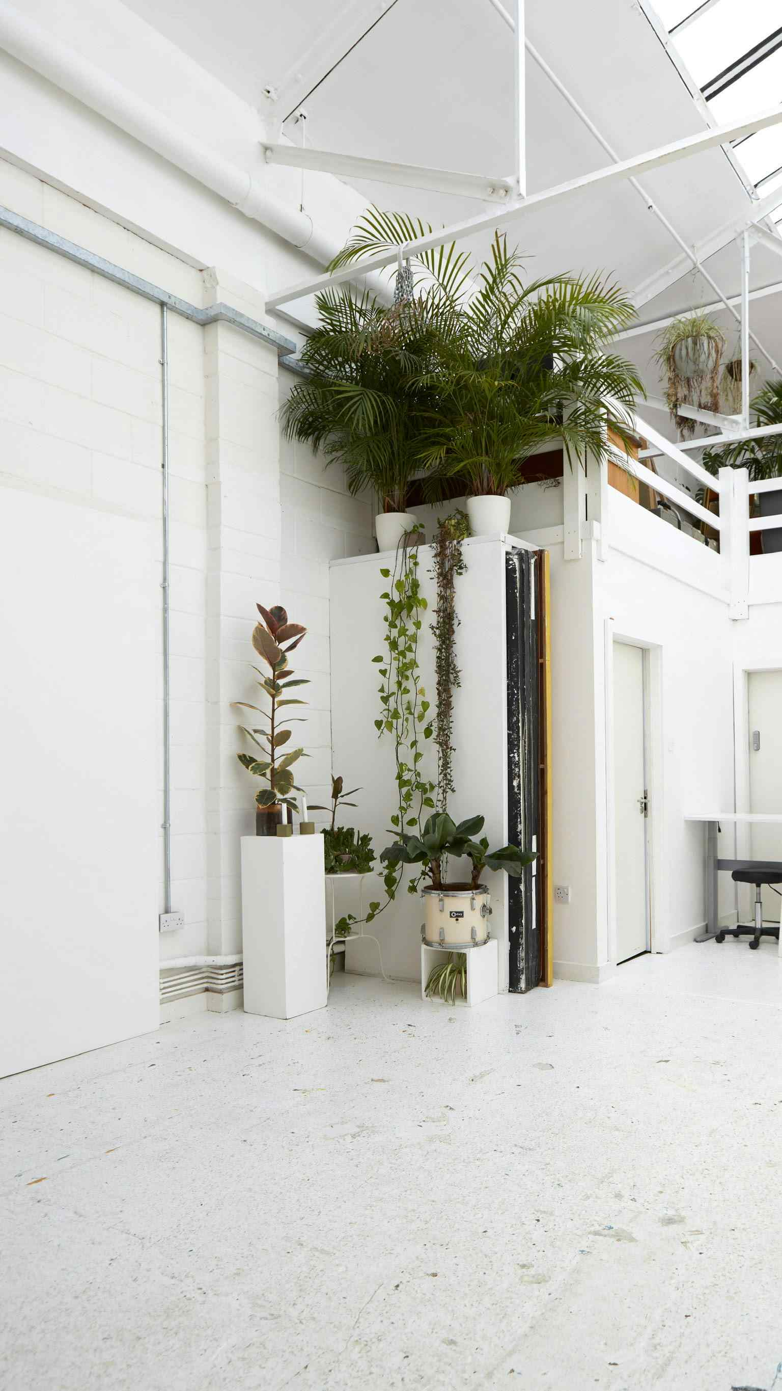 Peanut Factory Studio 3