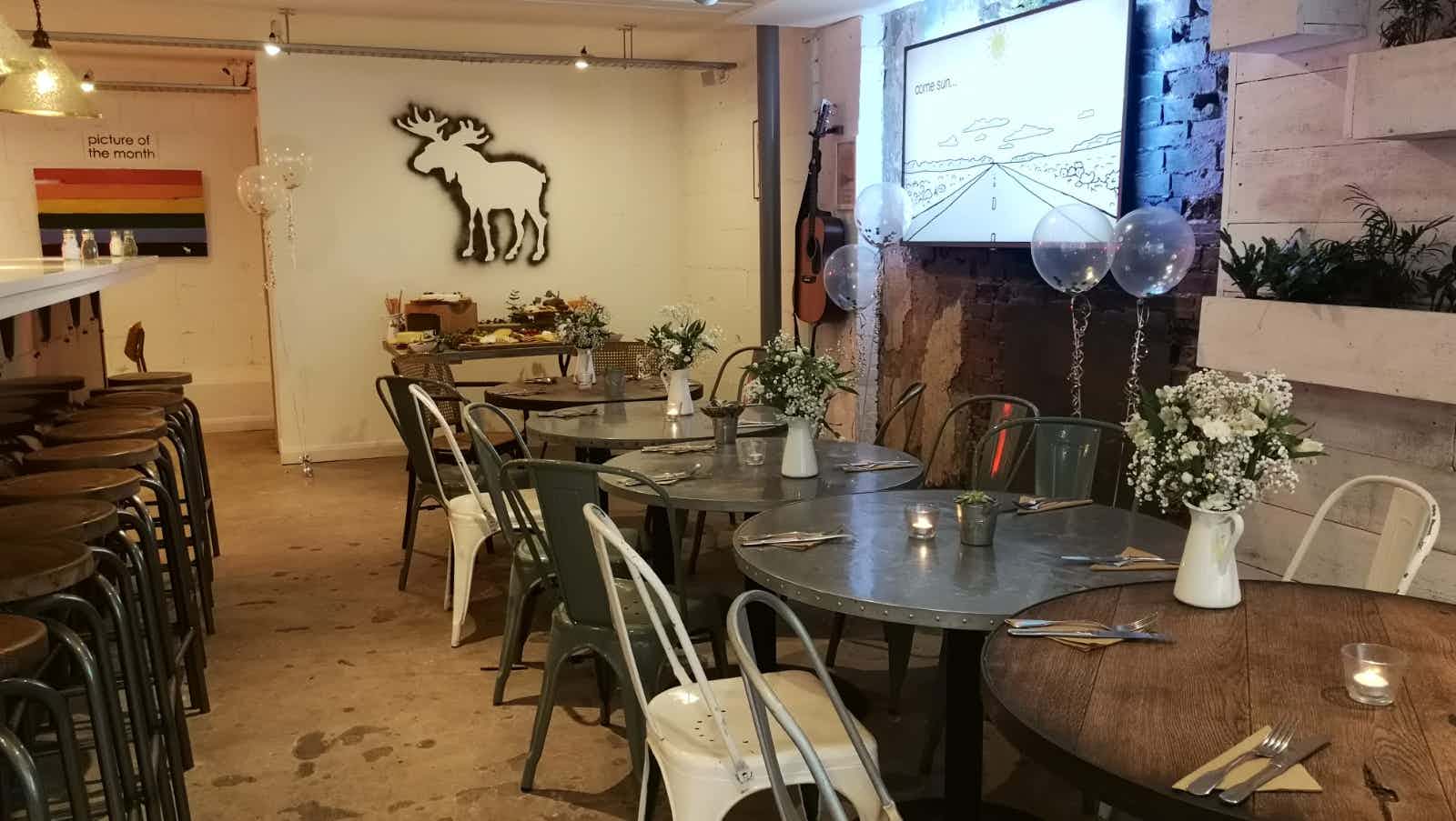 bigmoose coffee co 1