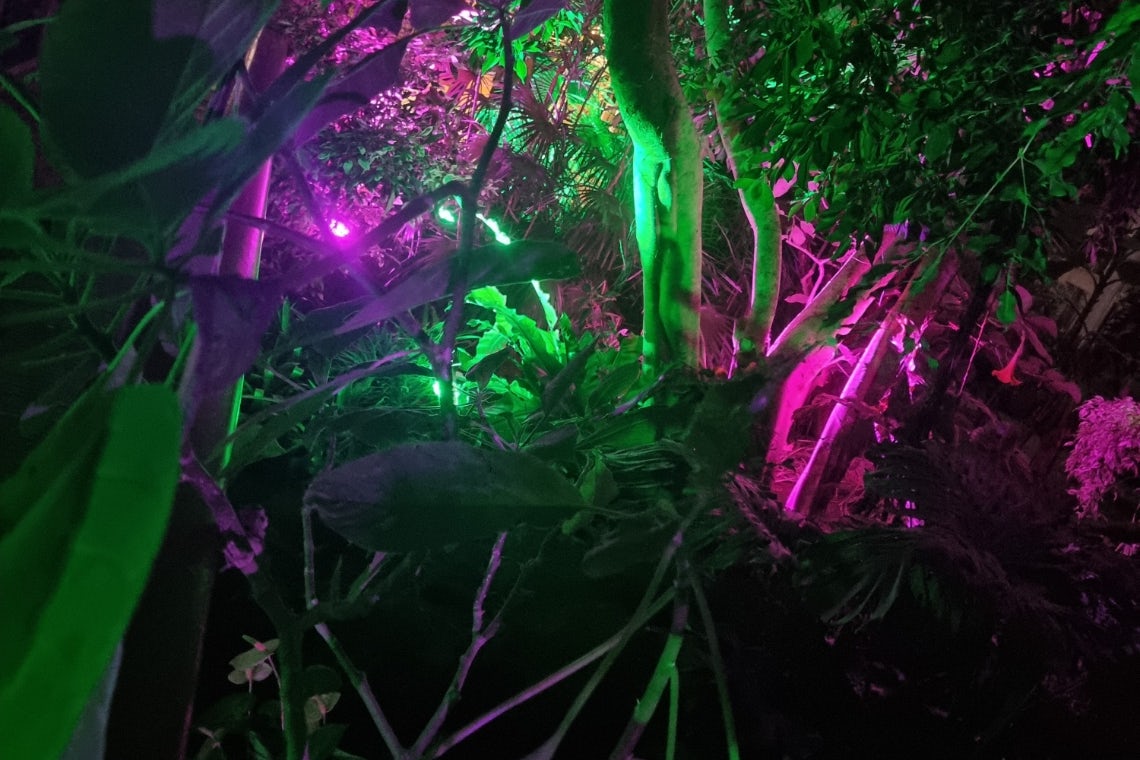 The Riverside Glasshouse 23