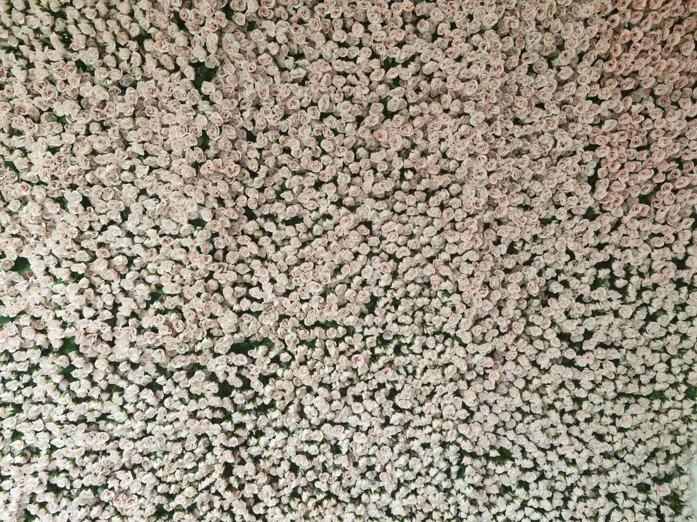 The Riverside Glasshouse 11