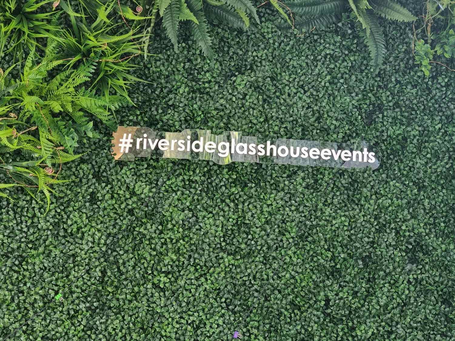 The Riverside Glasshouse 8