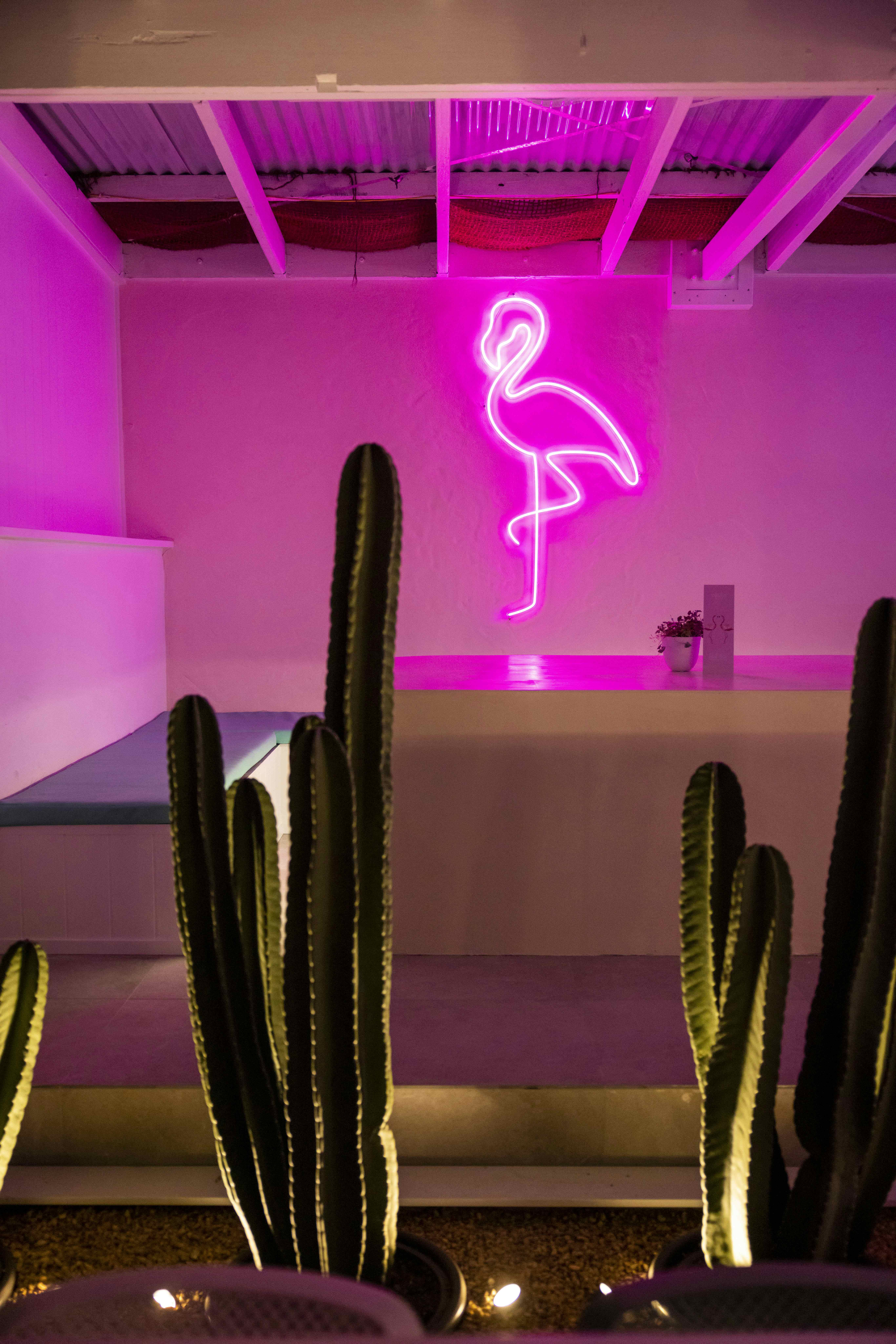 Exclusive Venue Hire  2