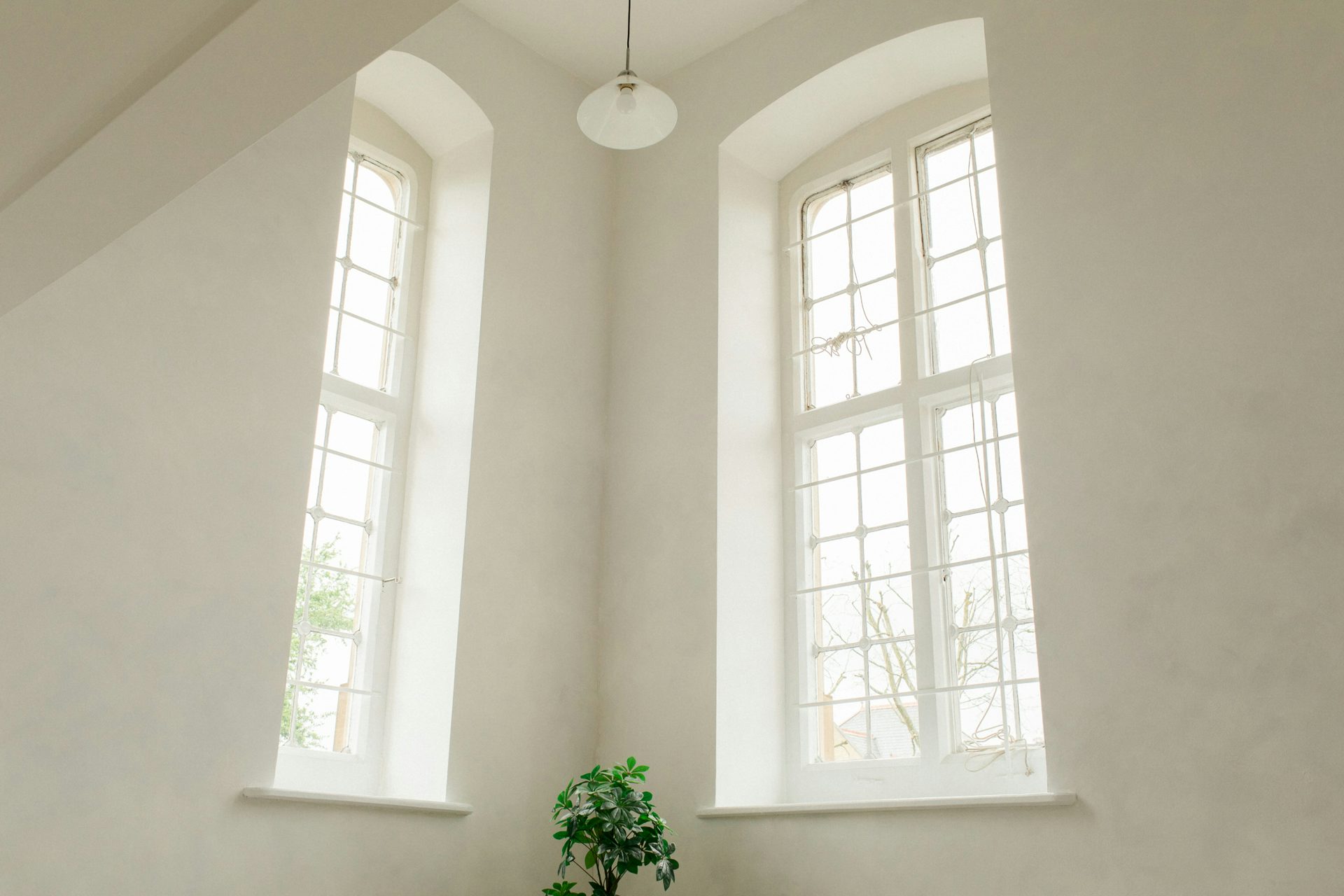 Daylight & Natural Daylight Photo Studio 1