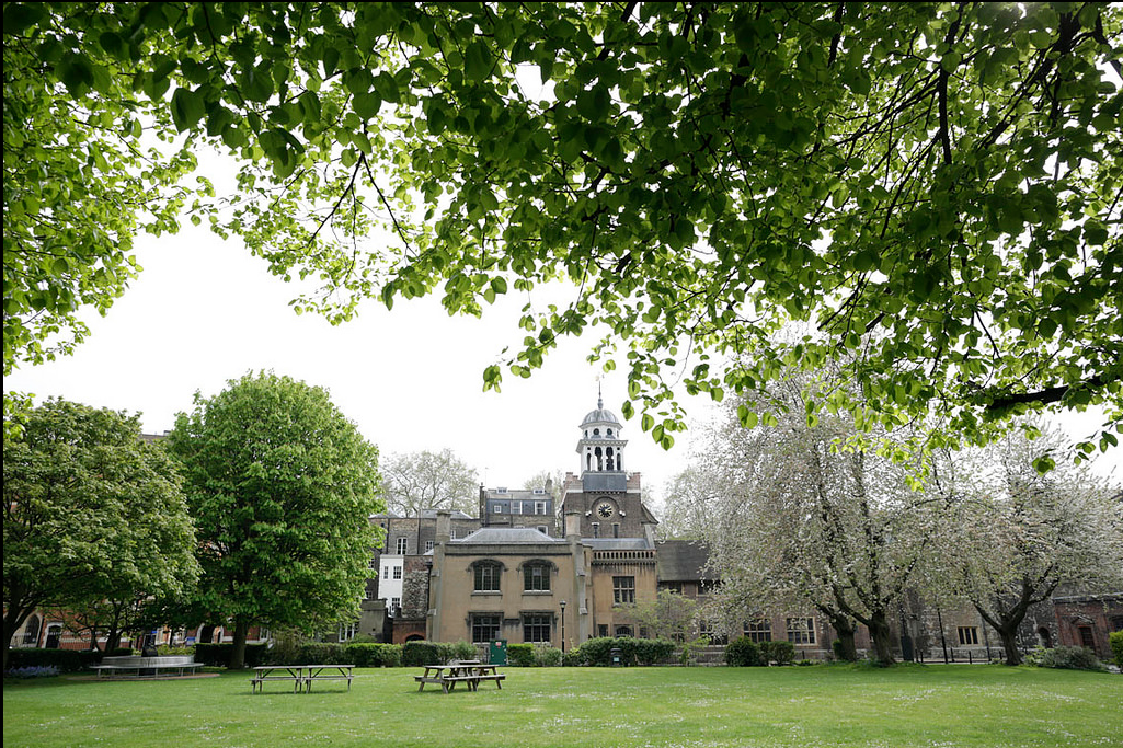 Charterhouse Square Lawn  1