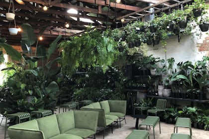 Glasshaus Inside 6