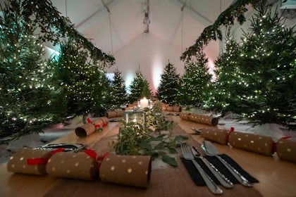 Christmas Parties 1