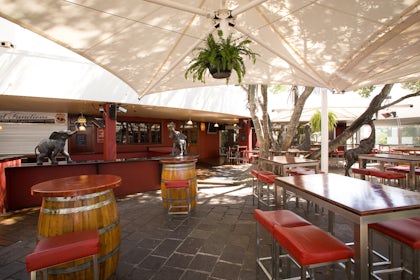 ELEPHANT BEER GARDEN 1
