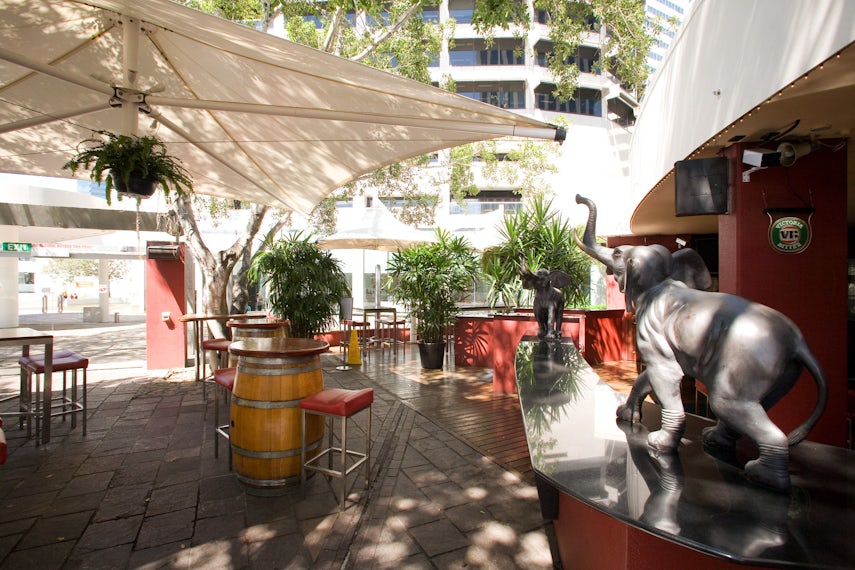 ELEPHANT BEER GARDEN 3D tour